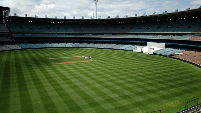 也大大提高 也大大提高