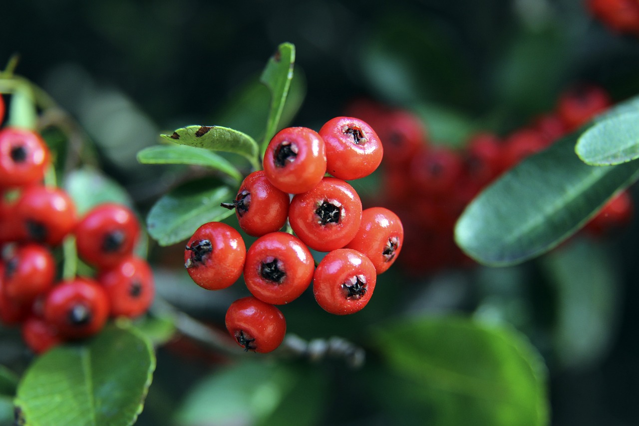 力征服了无 力征服了无