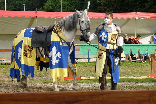 借助AR技 借助AR技