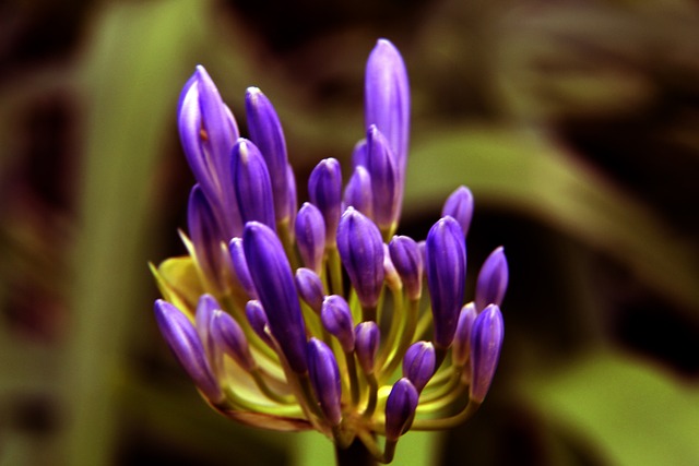 的创新手段 的创新手段