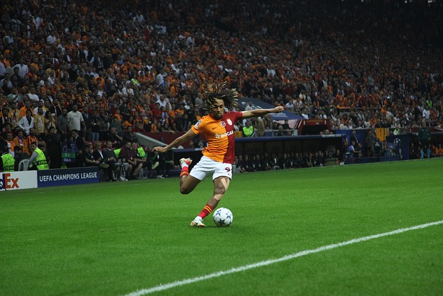 是八极拳老 是八极拳老