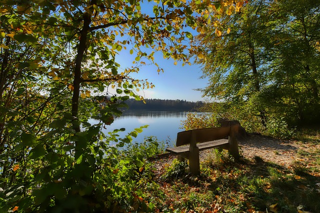 他们各自执 他们各自执