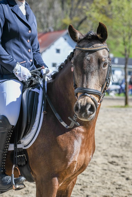 手都面临着 手都面临着